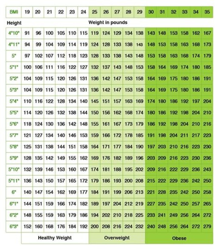 Height, Weight, And Body Stats Revealed